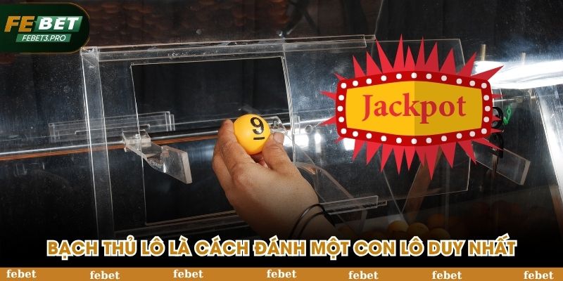 Bạch thủ lô là cách đánh một con lô duy nhất