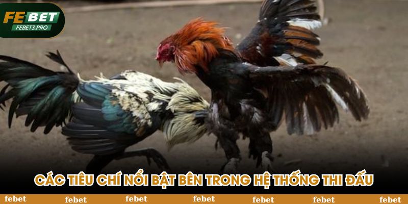 Các tiêu chí nổi bật bên trong hệ thống thi đấu