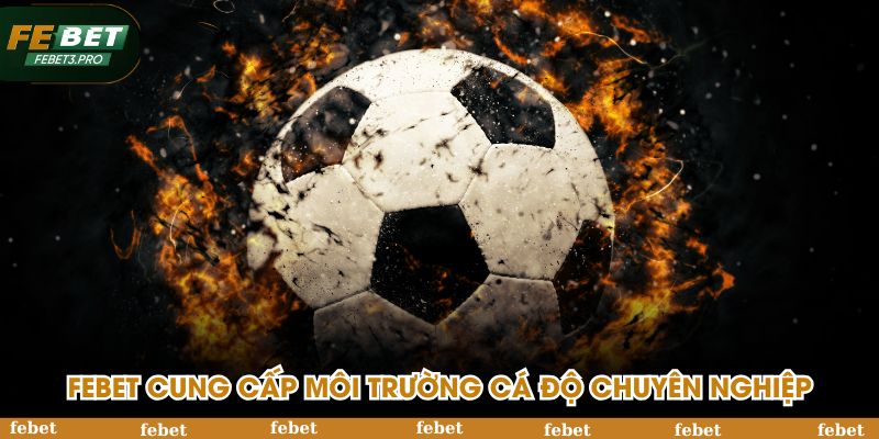 FEBET cung cấp môi trường cá độ chuyên nghiệp