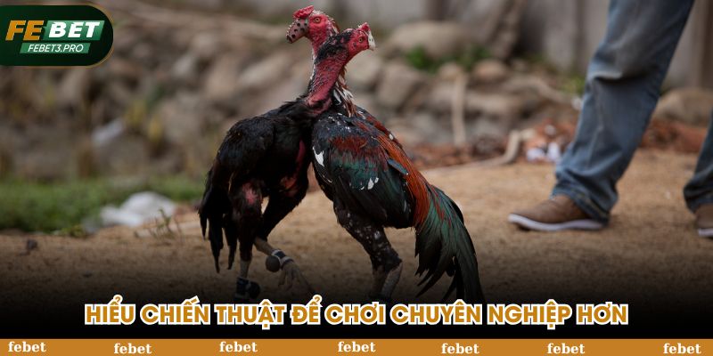 Hiểu chiến thuật để chơi chuyên nghiệp hơn