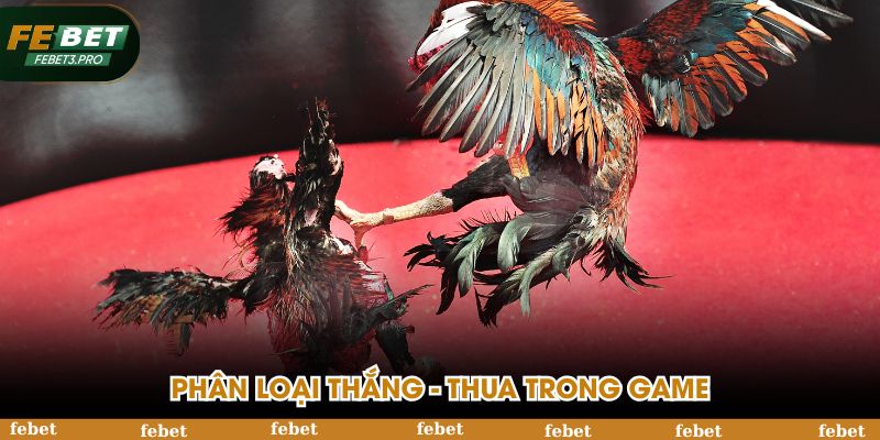 Phân loại thắng - thua trong game
