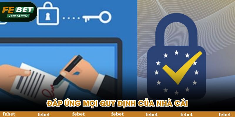 Đáp ứng mọi điều kiện quy định trước khi hội nhập