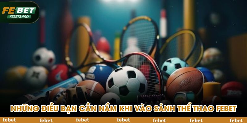 Những điều bạn cần nắm trước khi vào sảnh thể thao FEBET