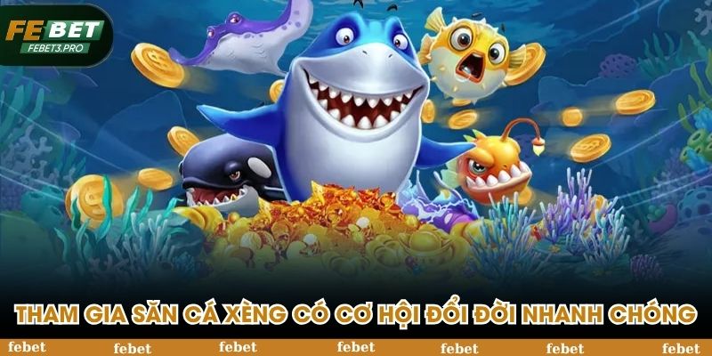 Tham gia săn cá xèng có cơ hội đổi đời nhanh chóng
